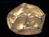 Archaeologists found a golden grave in Sliven region