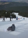 Artificial snow in Borovets skiing resort compensates for the lack of real one /