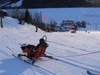 Snow carting in the ski resort Bansko