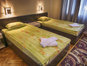 Hotel Roussalka - Double/twin room